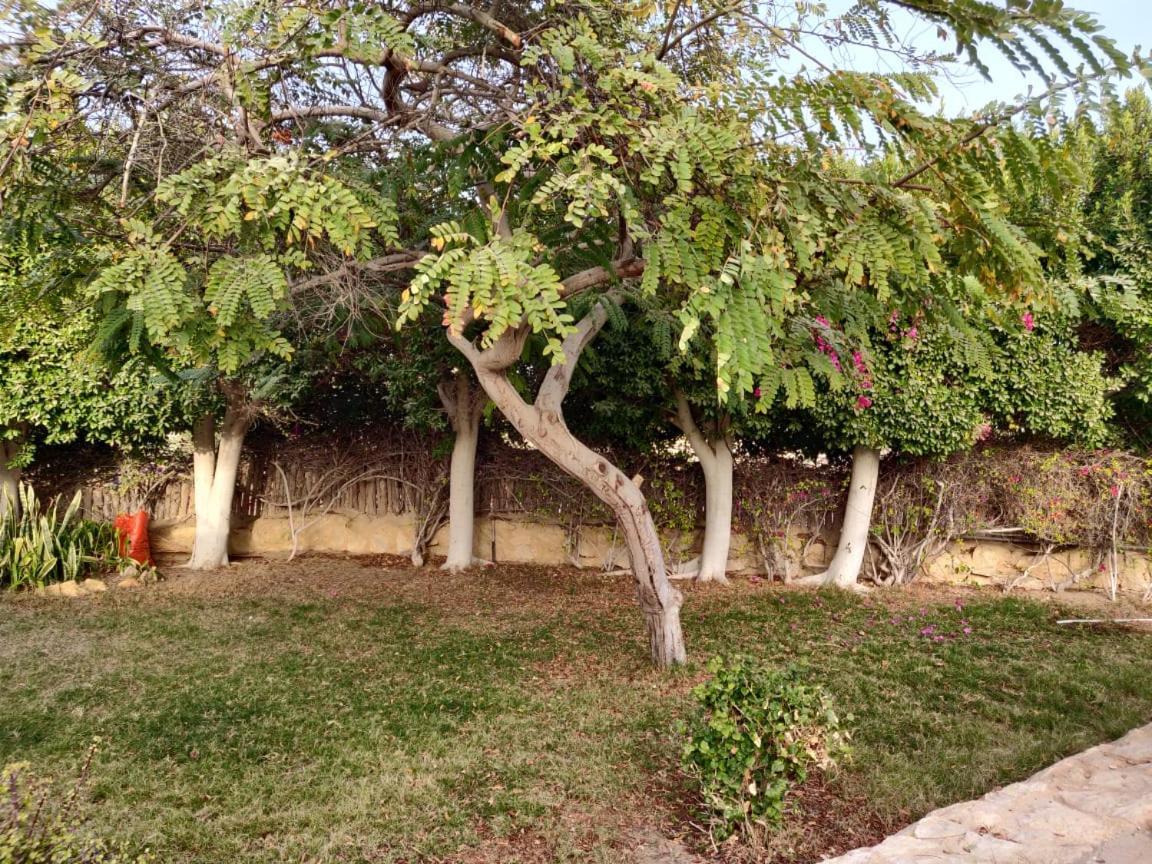 Tunis Lake View ‘Izbat an Nāmūs Esterno foto