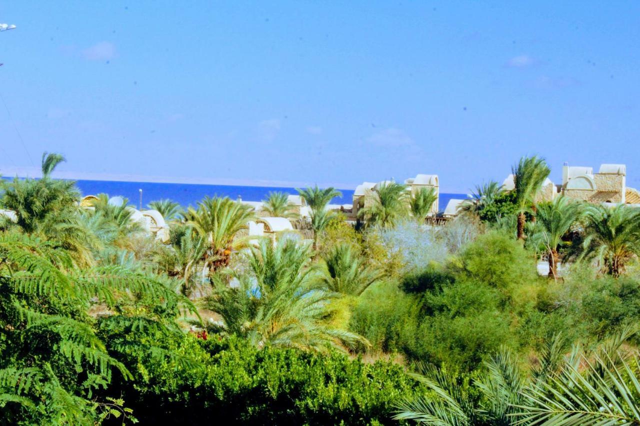 Tunis Lake View ‘Izbat an Nāmūs Esterno foto